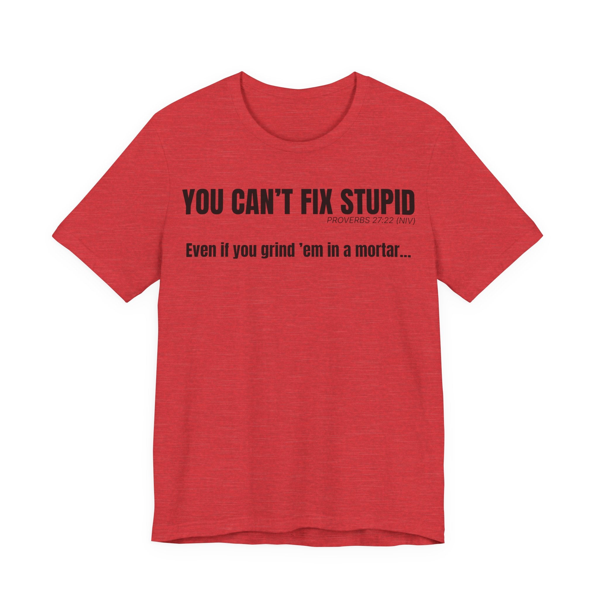 You Can’t Fix Stupid — Proverbs 27:22 | Unisex Jersey Short Sleeve Christian T-Shirt