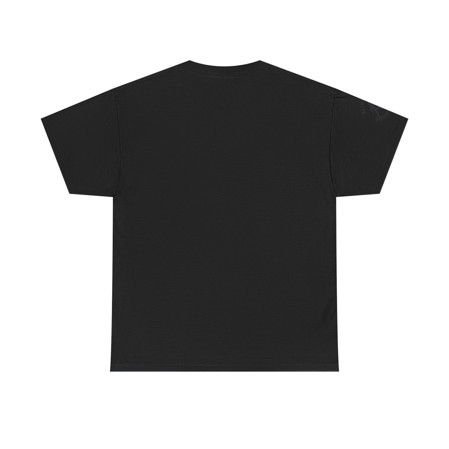 Philippians 4:13 Volleyball Tee | Christian Sports Shirt | Unisex Heavy Cotton T-Shirt