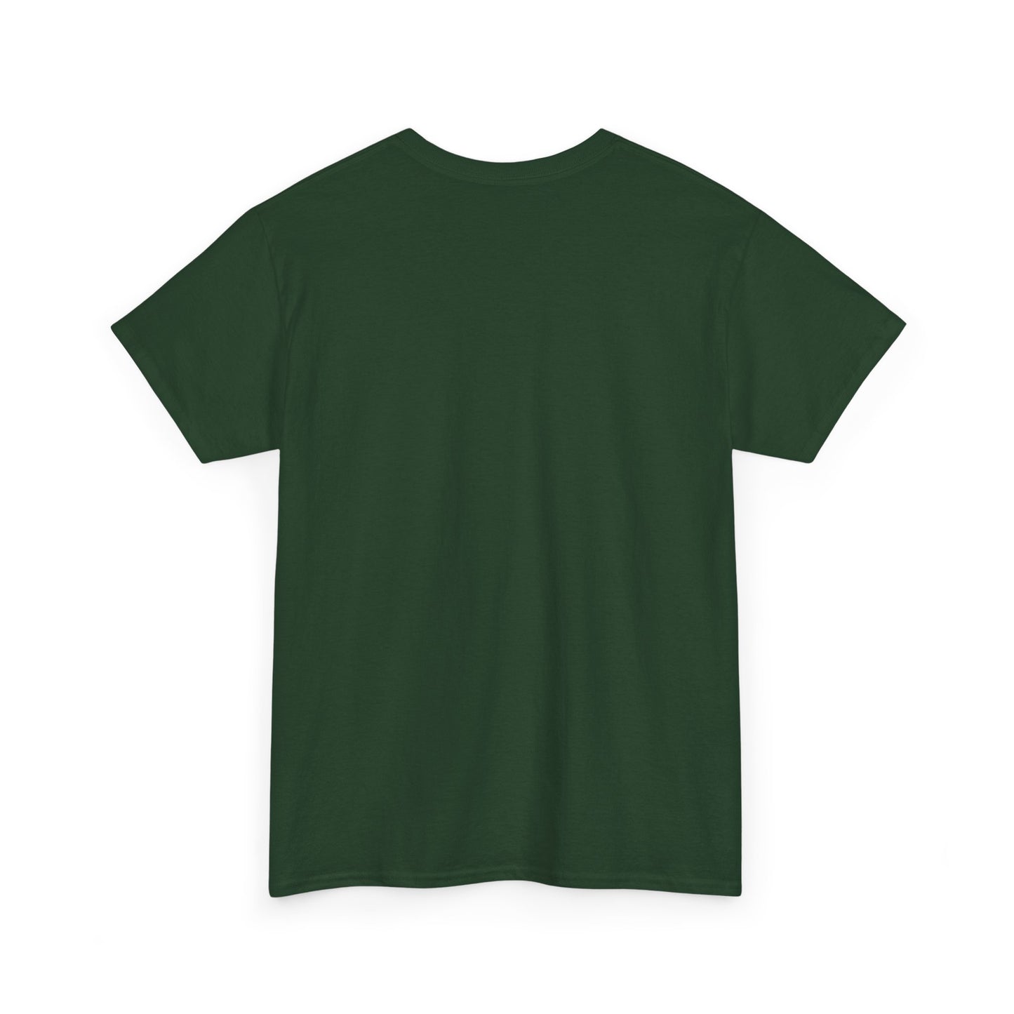 Three Wise Men Christmas Tee | Matthew 2:10 Nativity Shirt | Unisex Heavy Cotton Christian Holiday T-Shirt