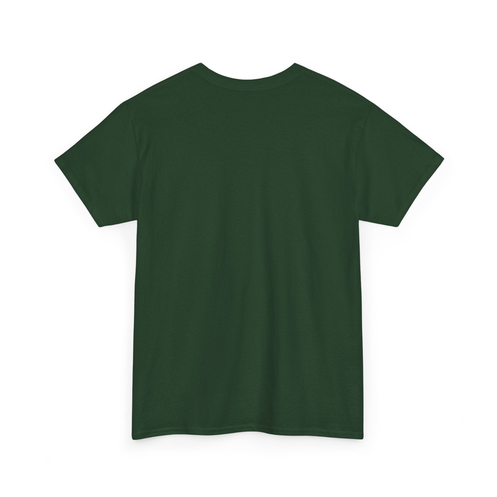 Three Wise Men Christmas Tee | Matthew 2:10 Nativity Shirt | Unisex Heavy Cotton Christian Holiday T-Shirt