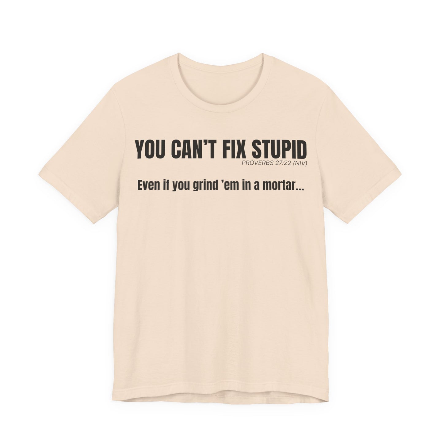 Front “You Can’t Fix Stupid — Proverbs 27:22” text printed on front of a unisex Christian t-shirt in bold typography.