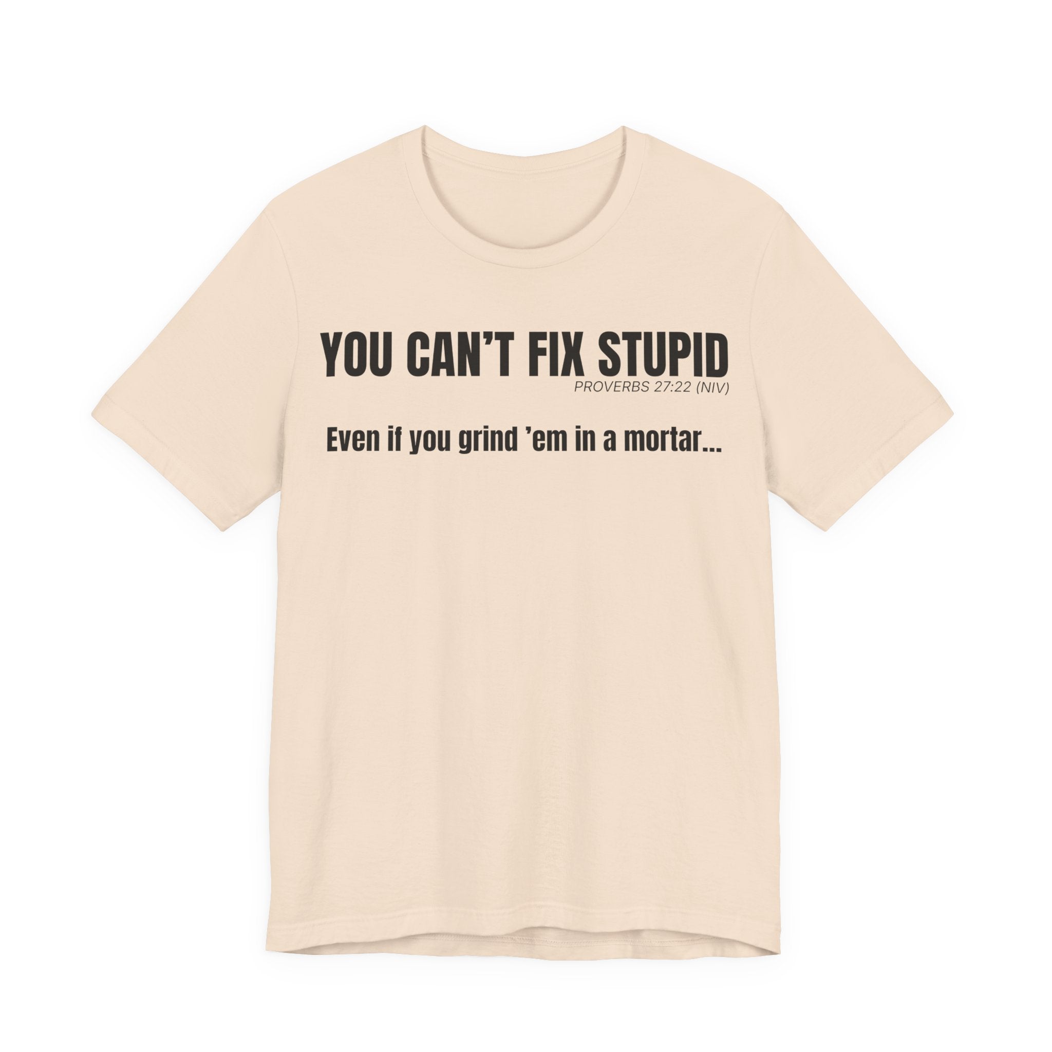 Front “You Can’t Fix Stupid — Proverbs 27:22” text printed on front of a unisex Christian t-shirt in bold typography.