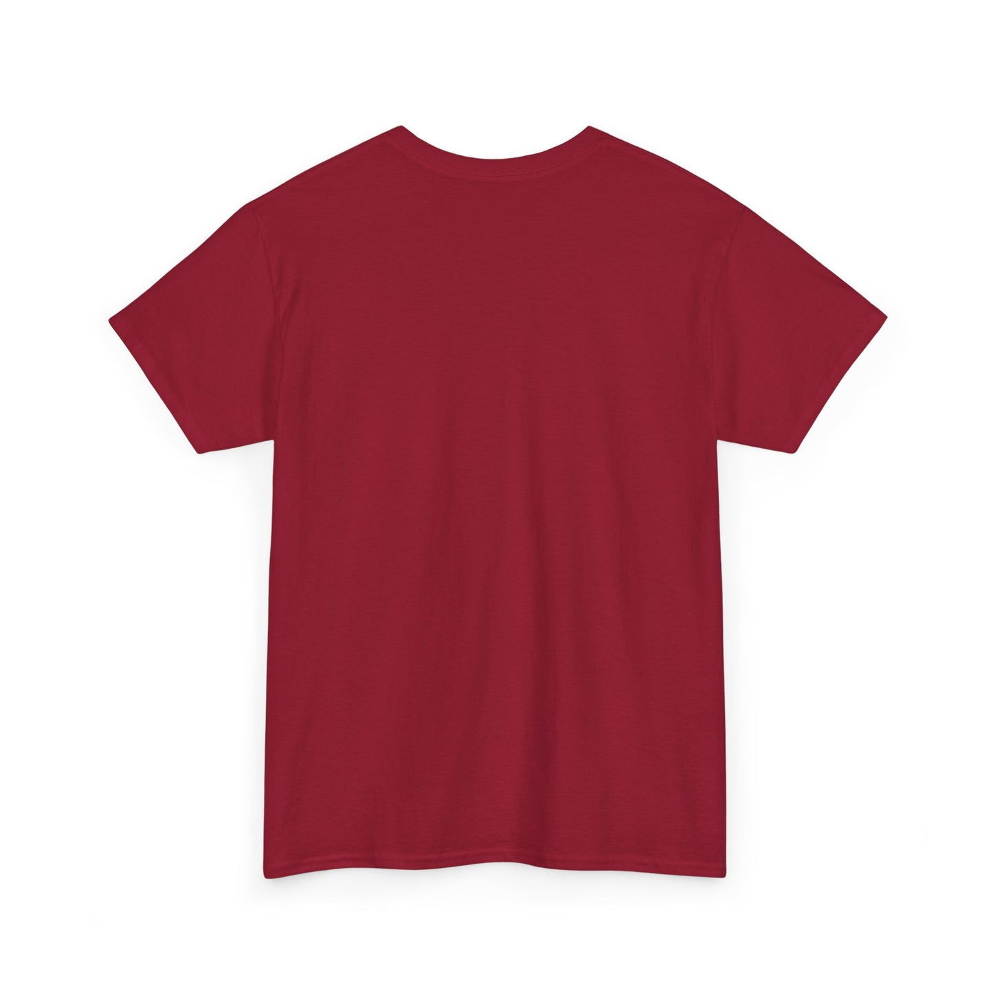 Three Wise Men Christmas Tee | Matthew 2:10 Nativity Shirt | Unisex Heavy Cotton Christian Holiday T-Shirt