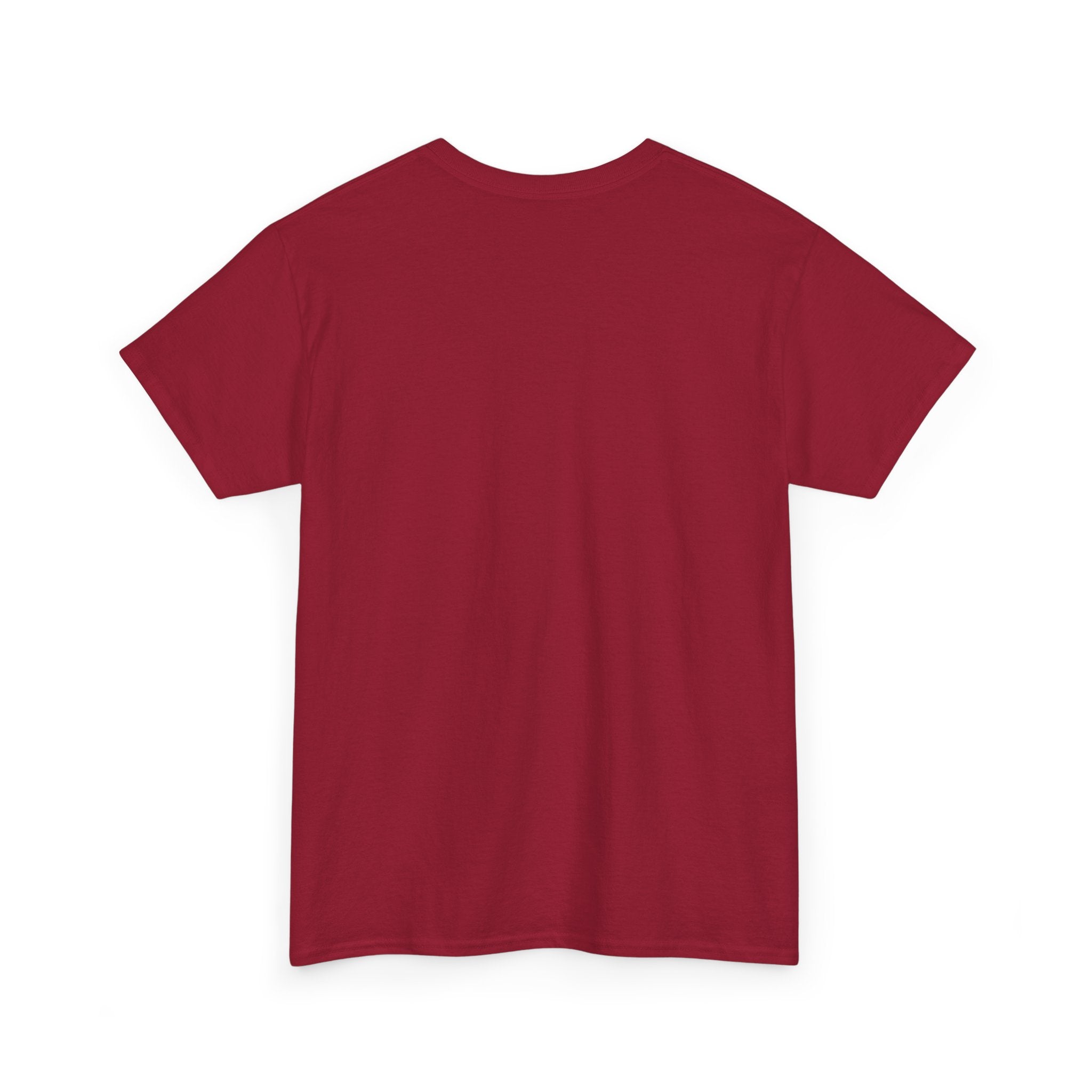 Three Wise Men Christmas Tee | Matthew 2:10 Nativity Shirt | Unisex Heavy Cotton Christian Holiday T-Shirt
