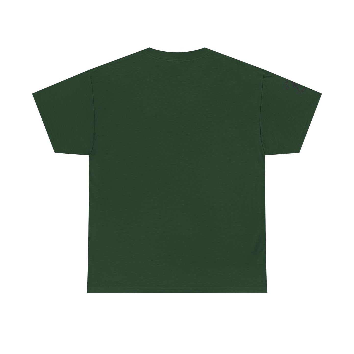 Philippians 4:13 Football Tee | Christian Athlete Shirt | Faith-Based Sports Apparel | Unisex Heavy Cotton