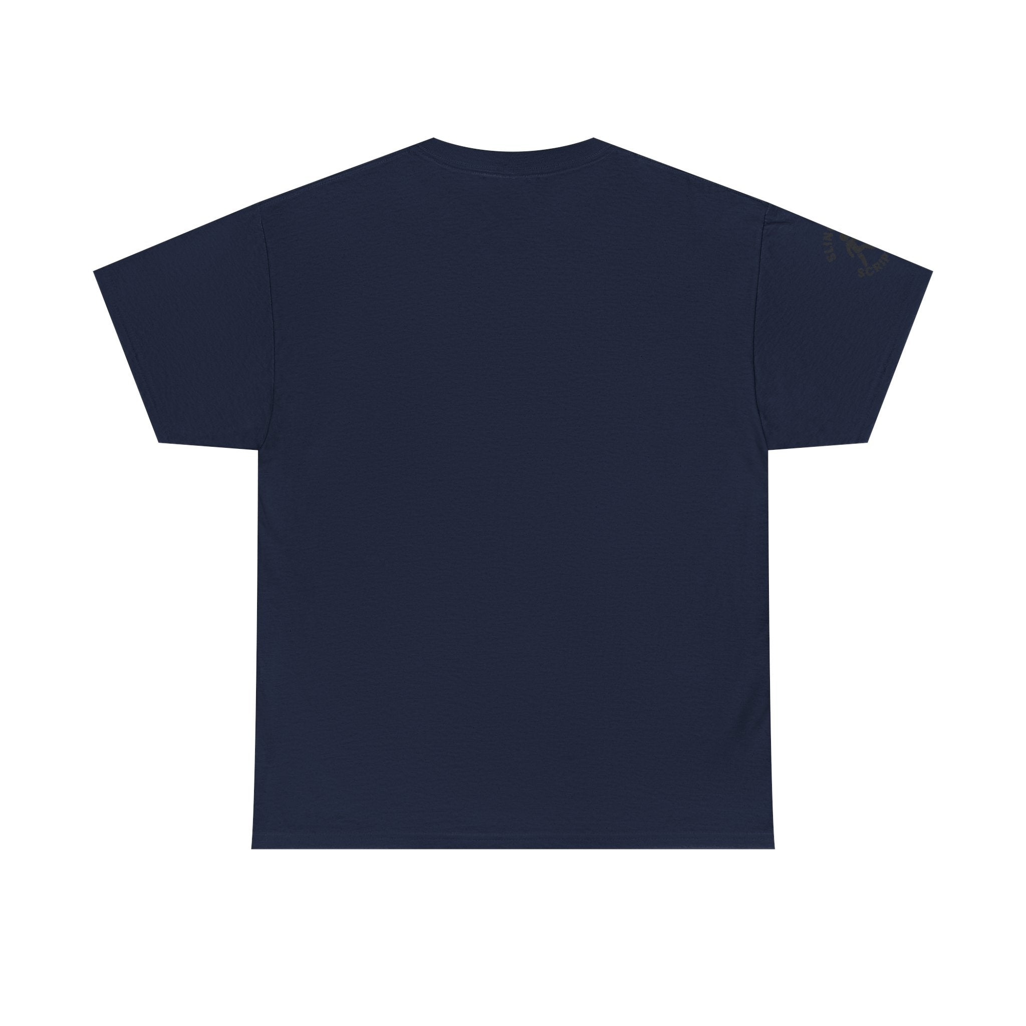 Philippians 4:13 Volleyball Tee | Christian Sports Shirt | Unisex Heavy Cotton T-Shirt