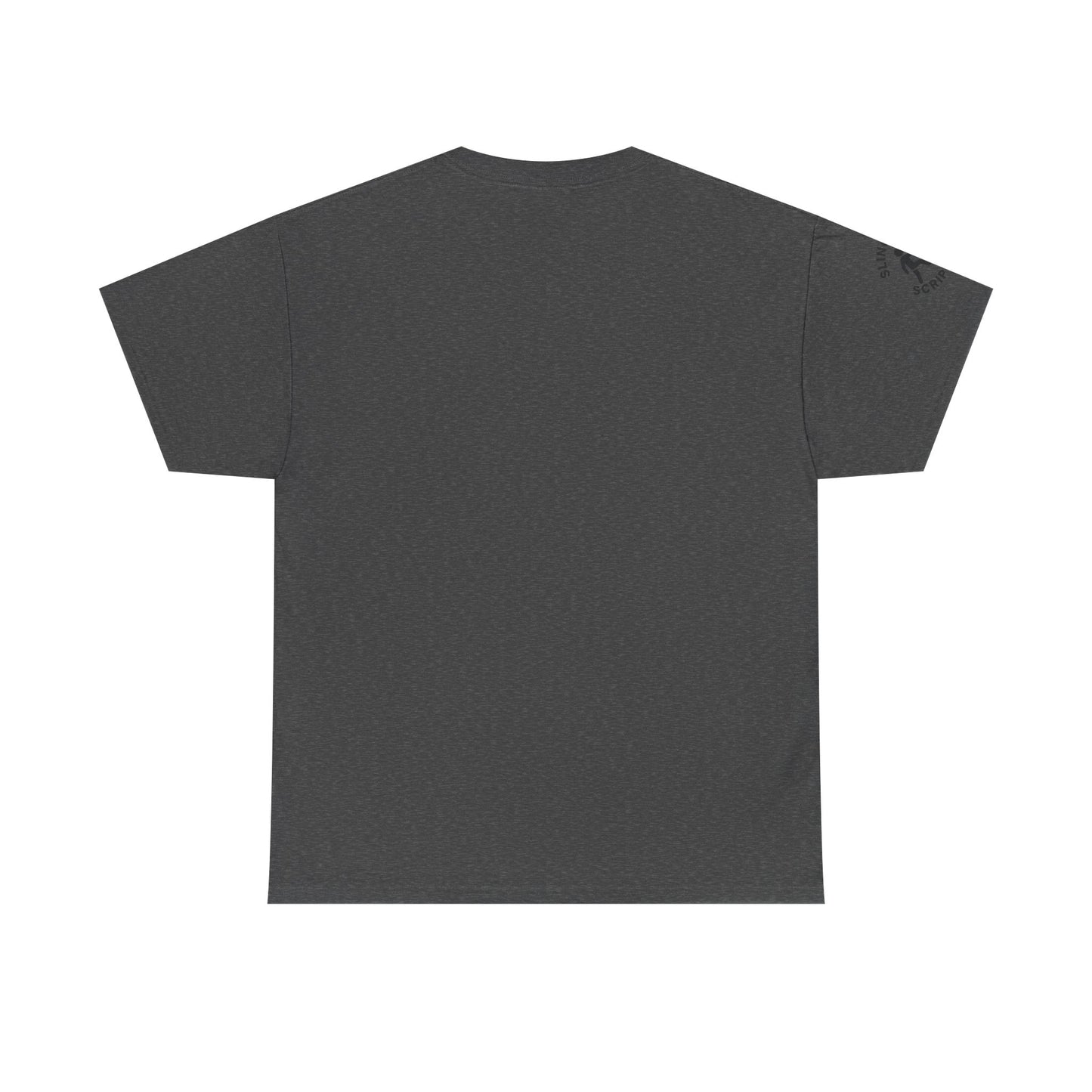 Philippians 4:13 Volleyball Tee | Christian Sports Shirt | Unisex Heavy Cotton T-Shirt