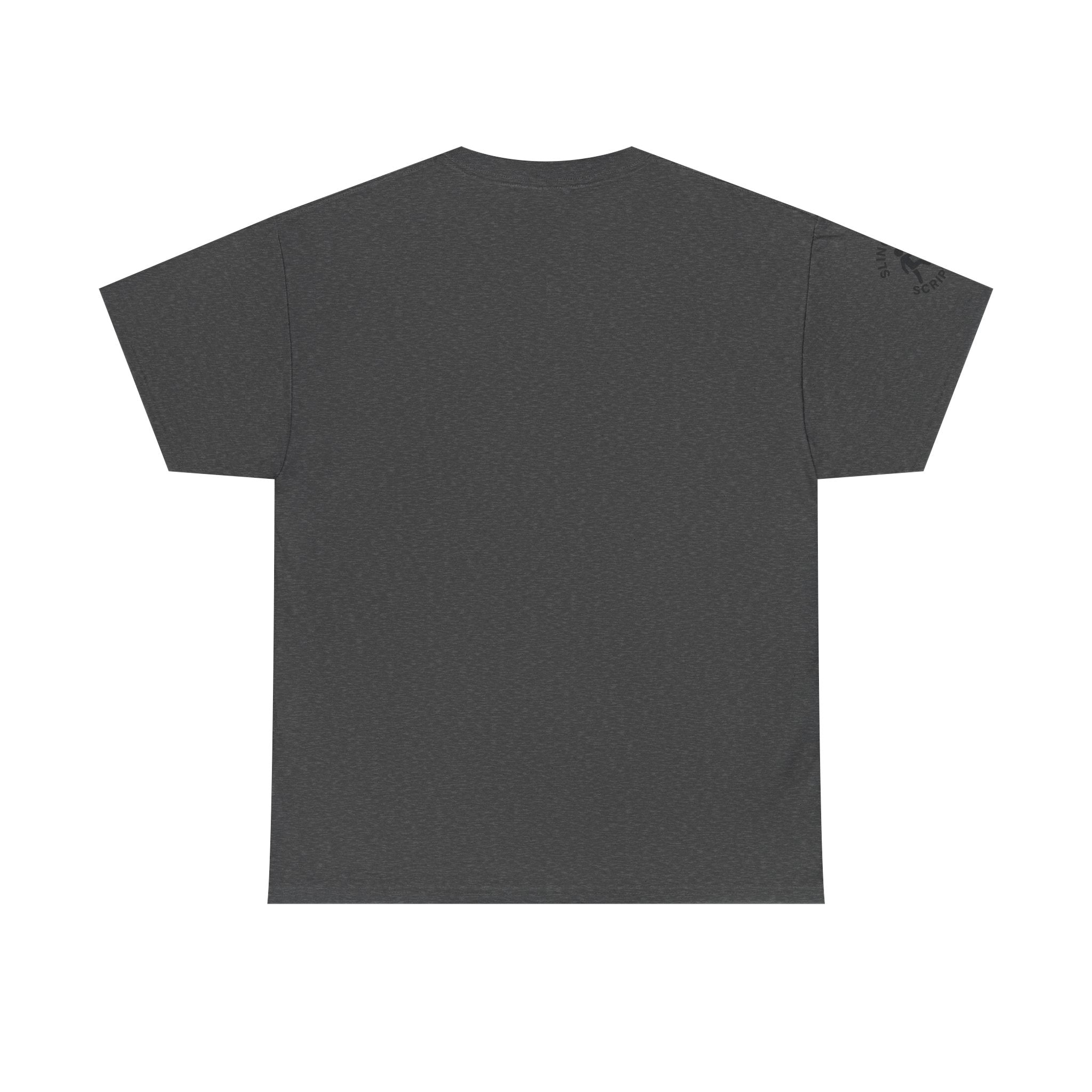 Philippians 4:13 Volleyball Tee | Christian Sports Shirt | Unisex Heavy Cotton T-Shirt