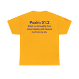 Jesus Gets Sin Out Tee | Psalm 51:2 | Unisex Heavy Cotton Christian Shirt
