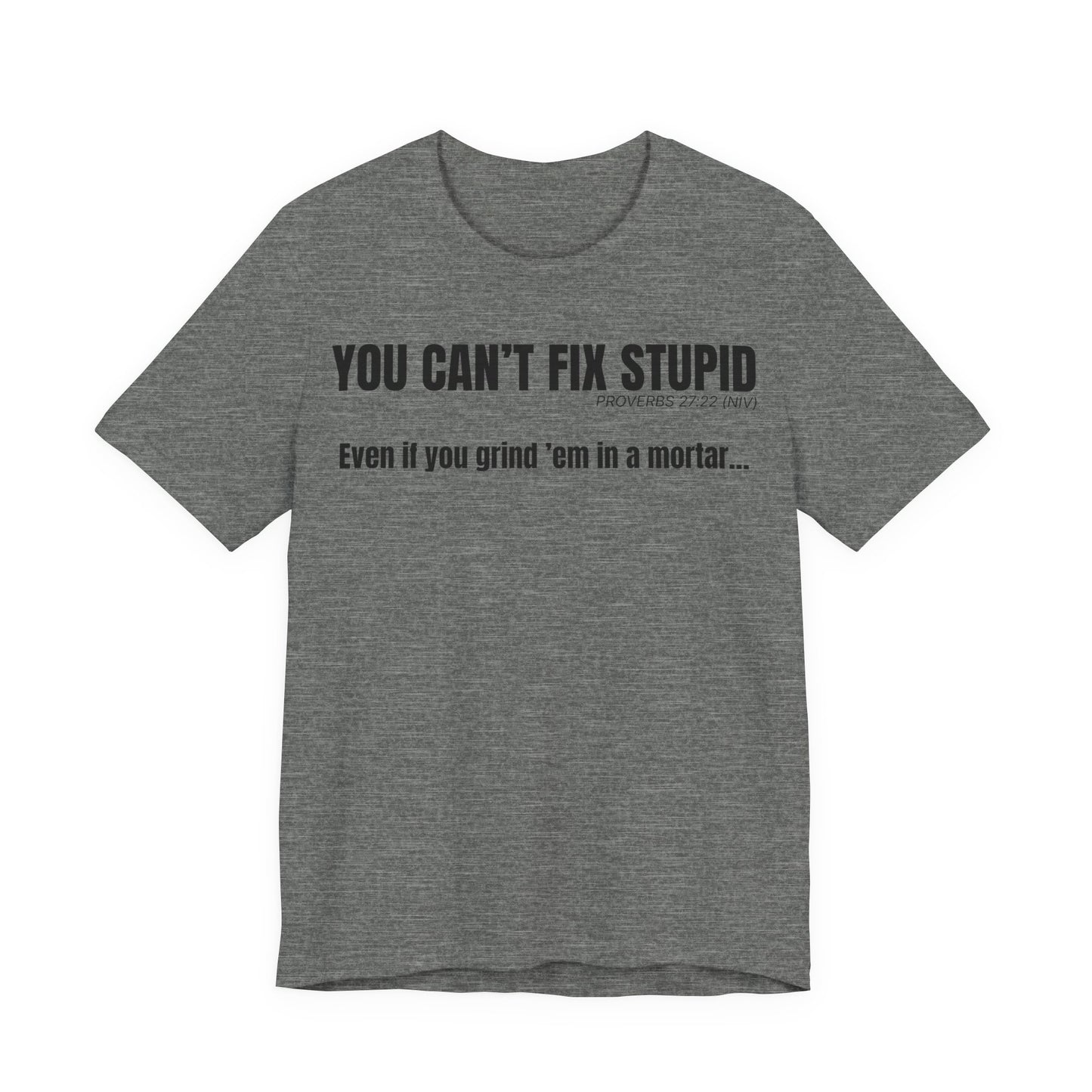 You Can’t Fix Stupid — Proverbs 27:22 | Unisex Jersey Short Sleeve Christian T-Shirt
