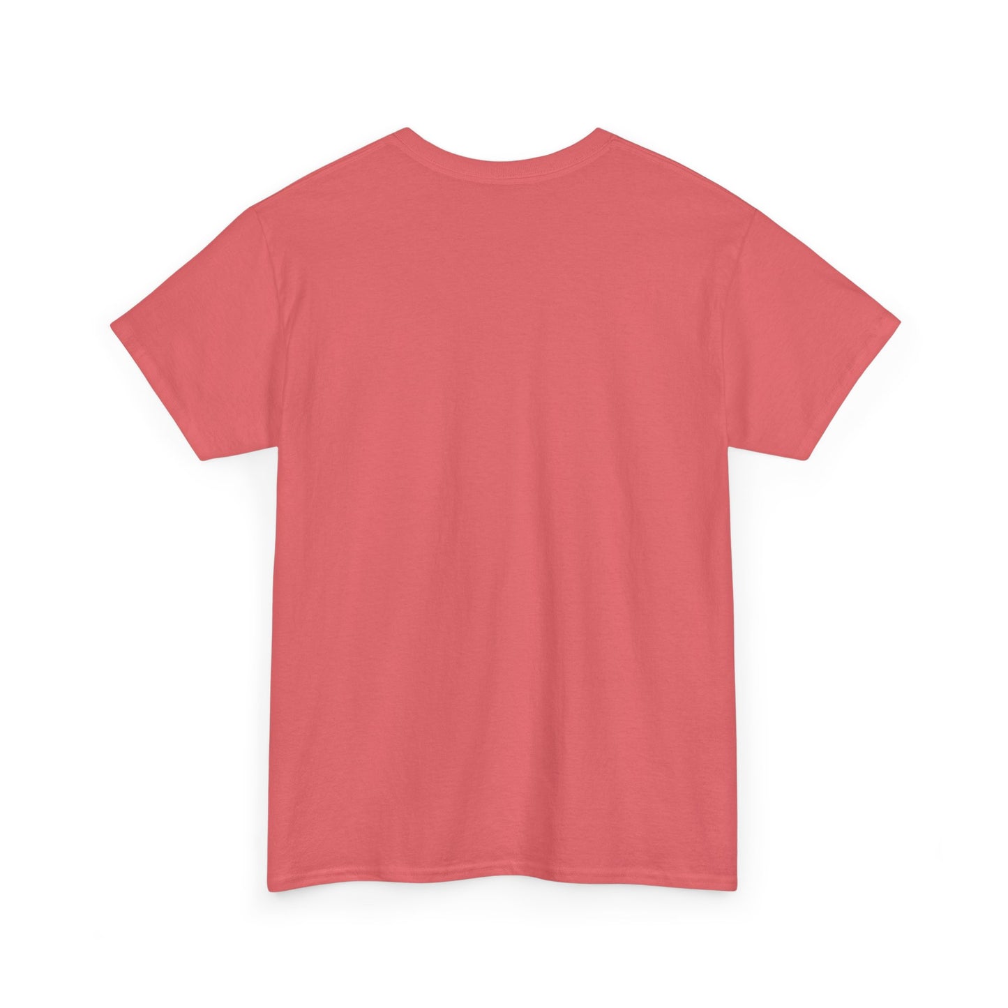 back is a blank coral shirt