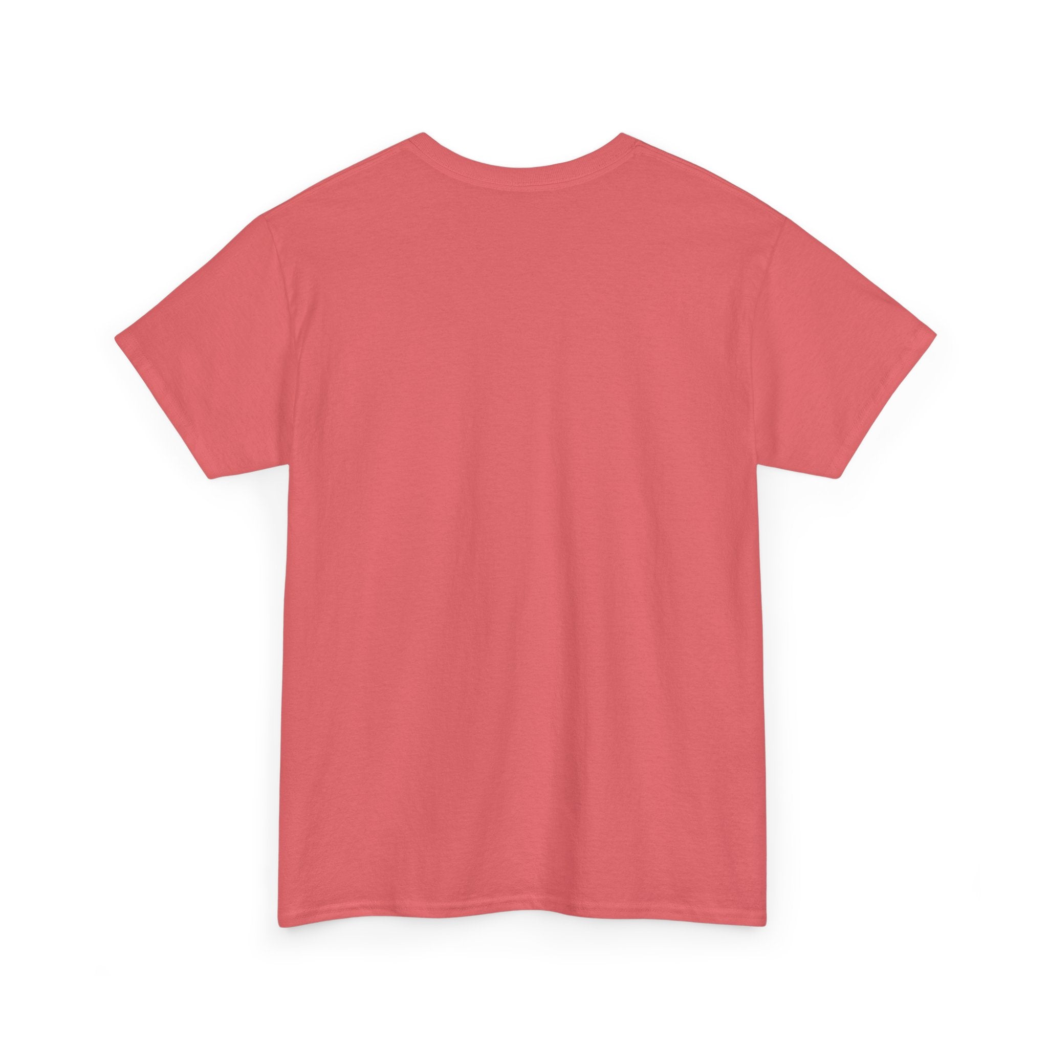 back is a blank coral shirt